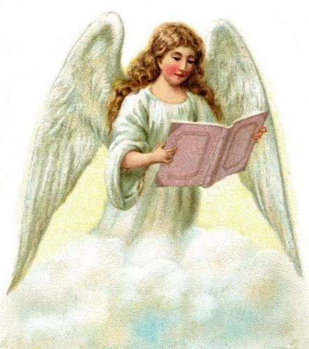 Angel Graphics - Image 4