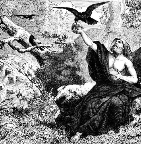 Elijah and the Ravens - Image 3