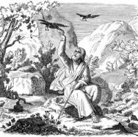 Elijah and the Ravens - Image 6