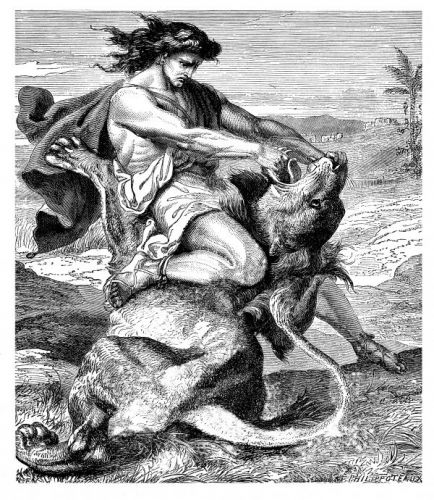 Samson and the Lion - Image 10