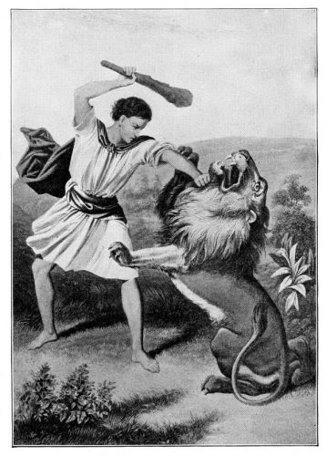 Samson and the Lion - Image 12