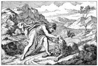 Samson Bible - Image 4