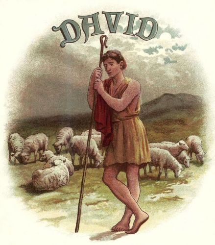 Shepherd David - Image 5