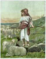 Shepherd David - Image 7