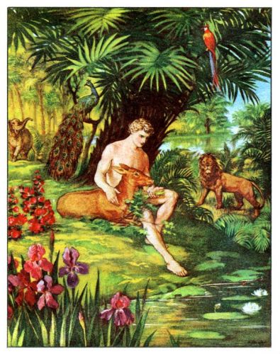 The Garden of Eden - Image 3