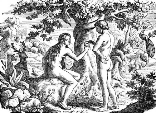 The Garden of Eden - Image 7