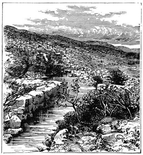 Walls of Jericho - Image 5
